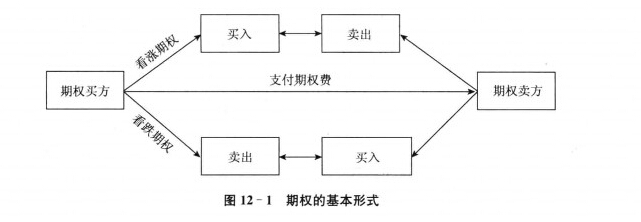 外汇期权是如何进行划分的